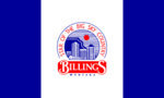 billings-montana flag