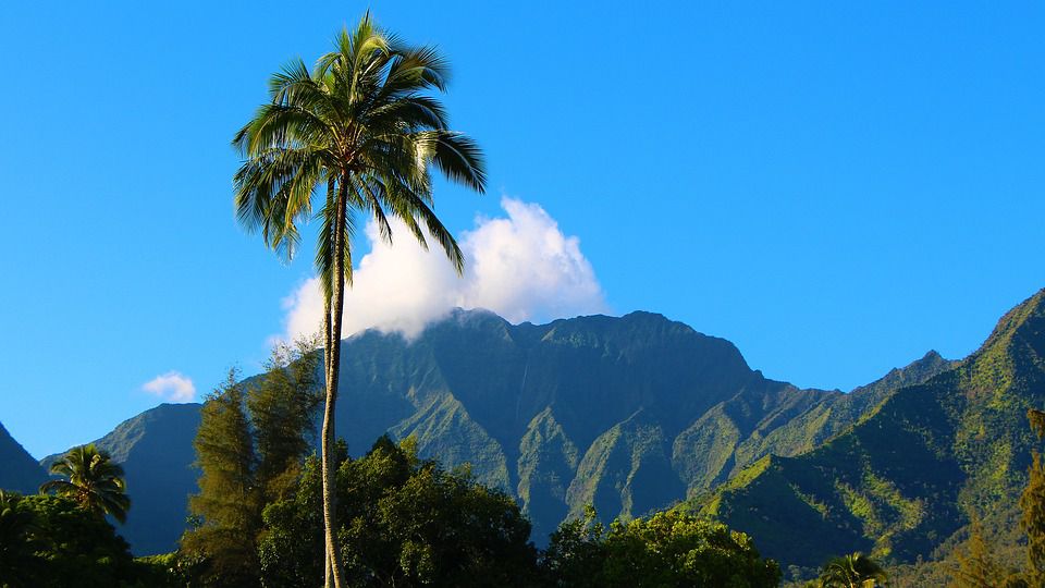 Kauai island - the next perfect home, with a little help from interstate moving companies Hawaii recommends.