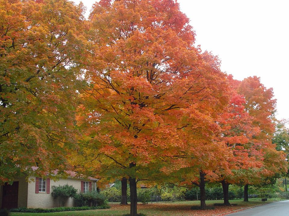 Autumn and spring are the best times to plan your move to Arkansas.