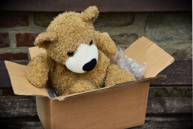 Teddy bear in a cardboard box, ready for the move.