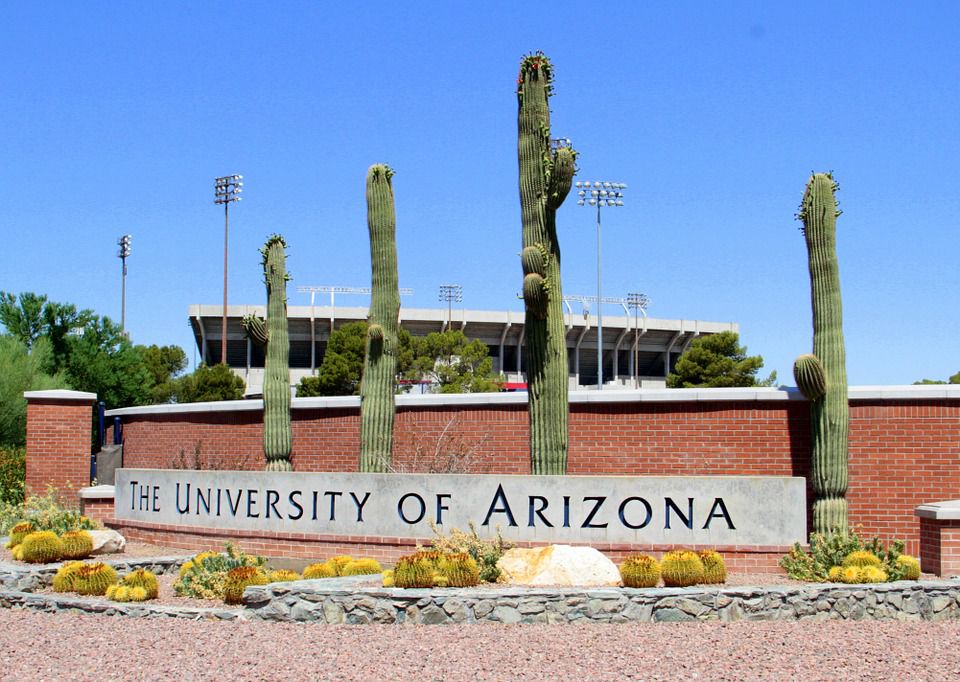 The University of Arizona - just one of the countless reasons to start looking for long distance moving companies Arizona.