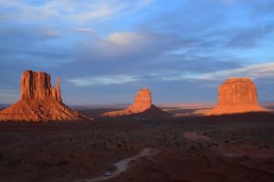 Desert in Mesa, Arizona