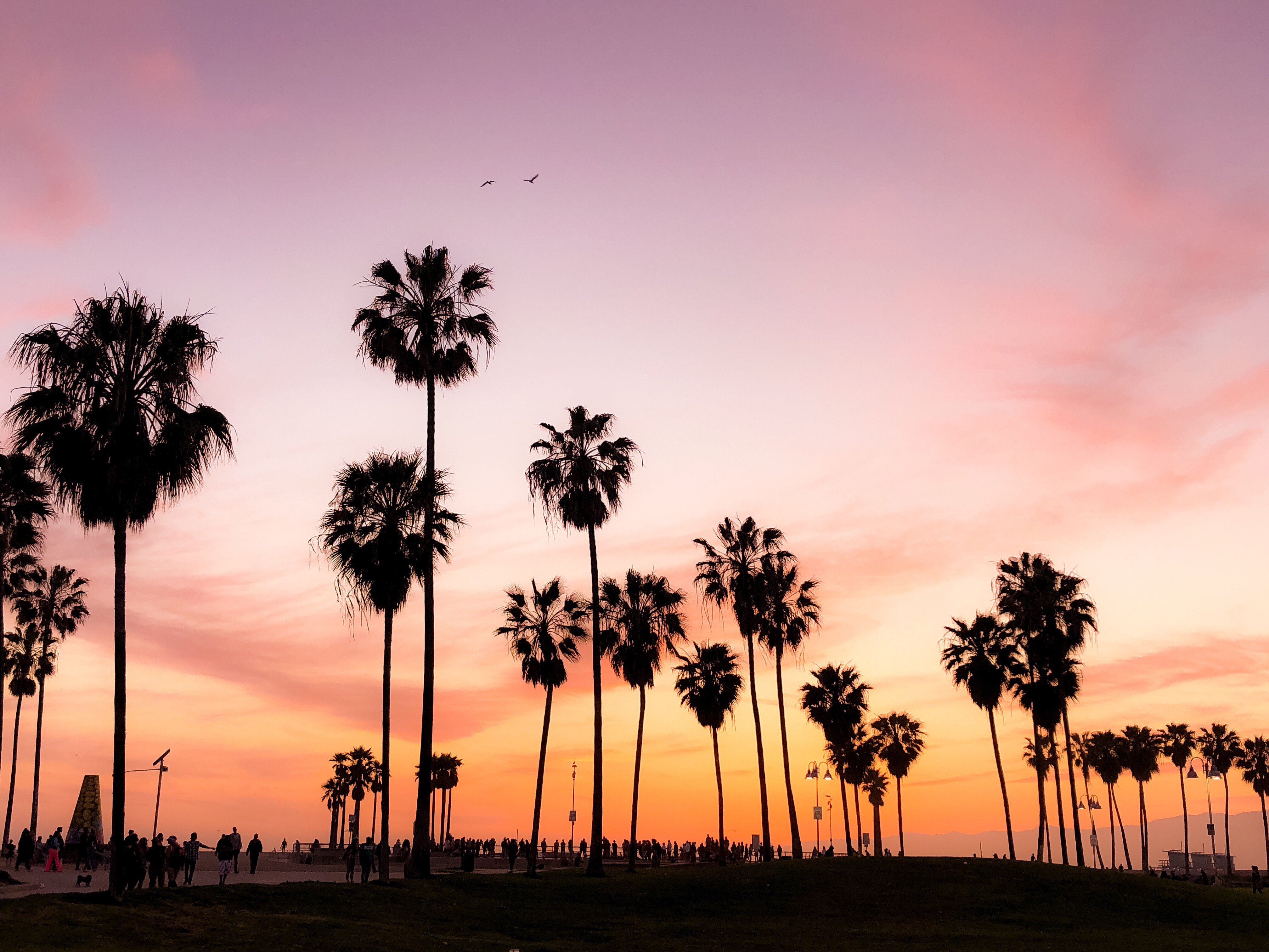 California is a state with some of the most welcoming West Coast locations to settle in