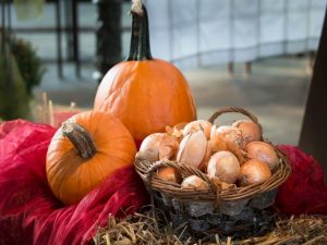 A wooden basket with onions next to two pumpkins.