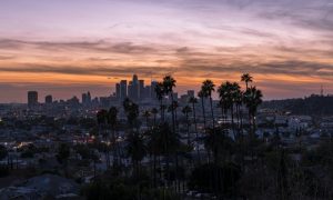 A view on a city with palms in front