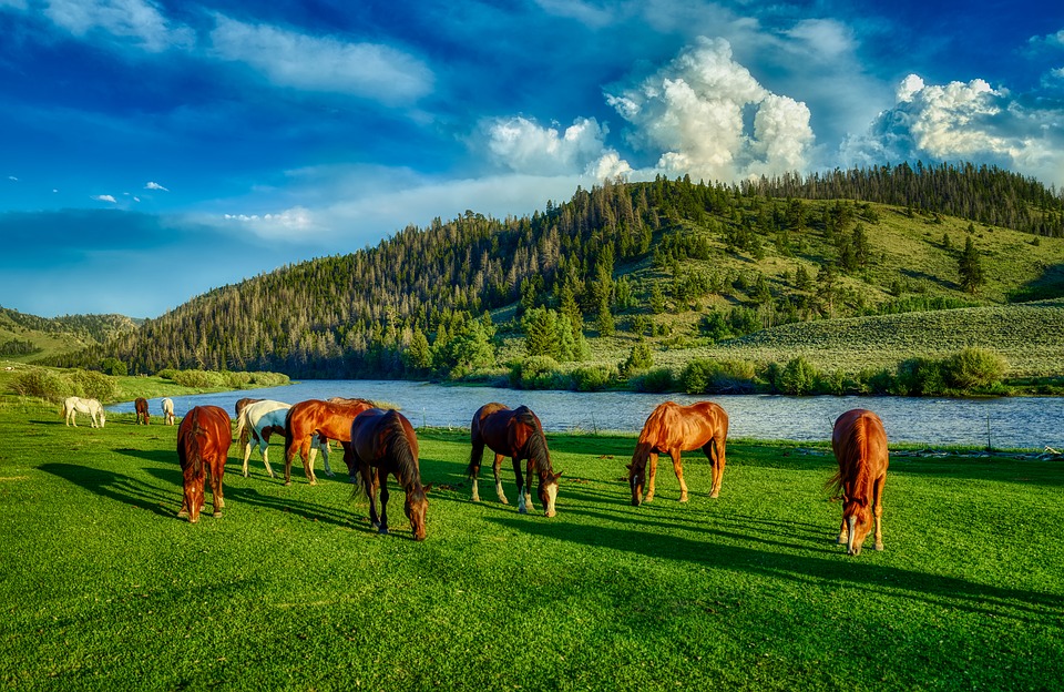 Wyoming