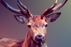 graphic design deer
