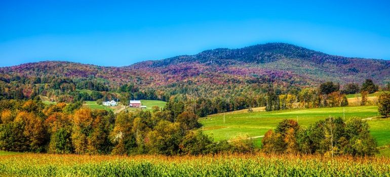 Enjoy Vermont with the help of our long distance moving companies Essex