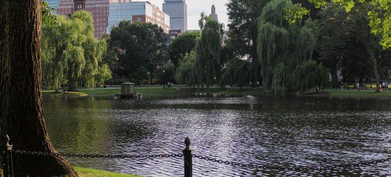 Boston park