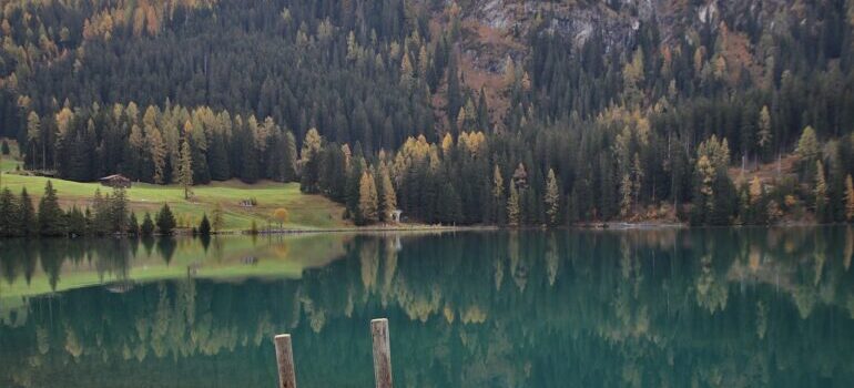 Lake and forest as viewed from a peer