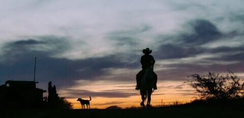 cowboy moving from Illinois to Texas in the sunset
