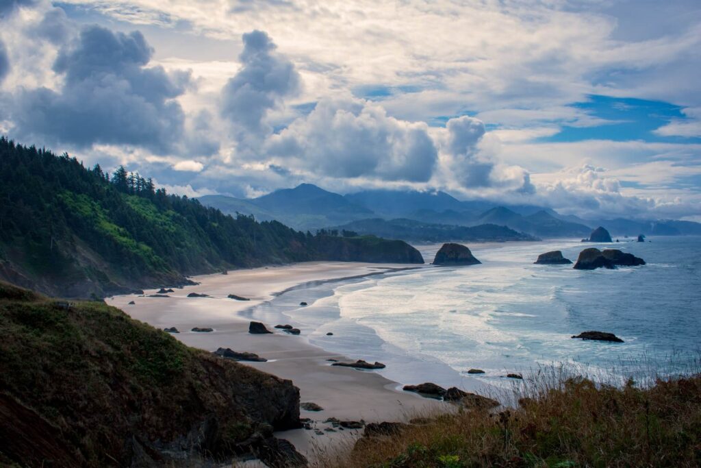 Beach beside a forest in Oregon