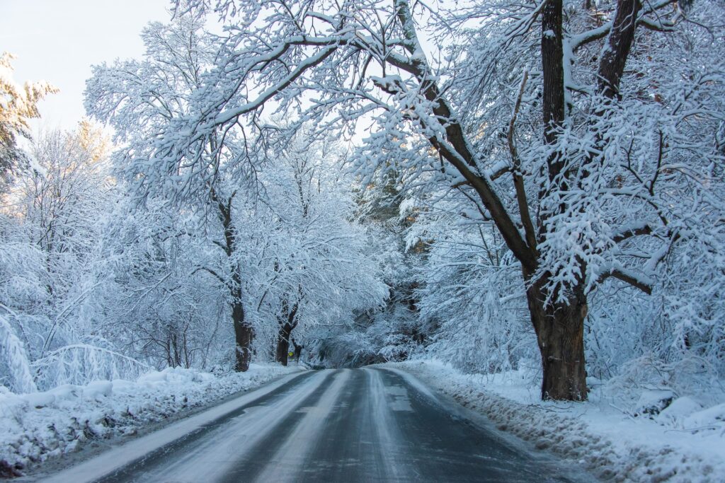 highway through wintery forest