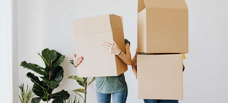 Two people holding boxes in a white room with a green leafy plant behind them