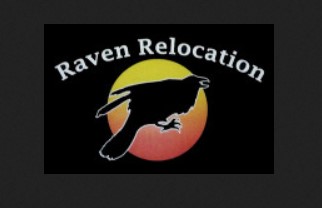 Raven Relocation company logo