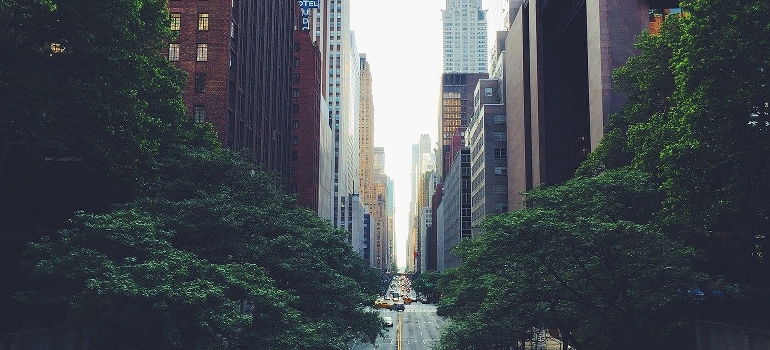Manhattan street