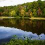 moving from north dakota to virginia