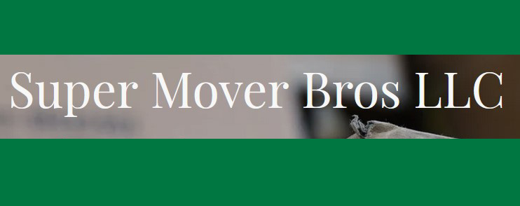 Super Mover Bros company logo