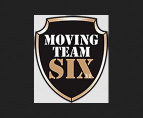 Moving Team Six company logo