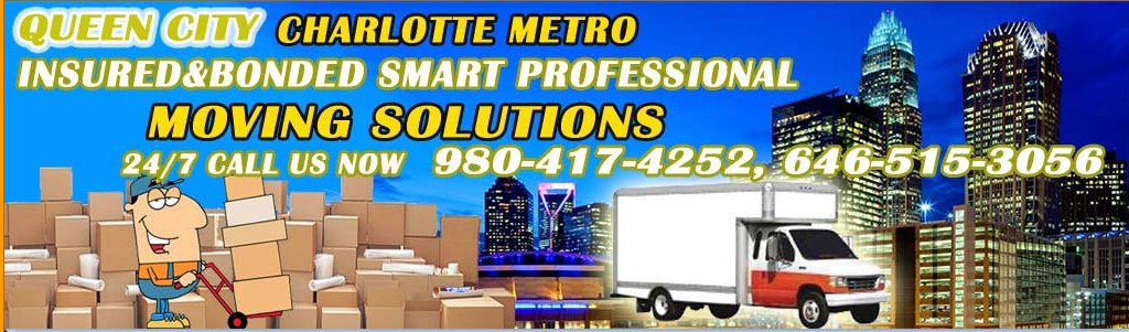 SMART PROFESSIONAL MOVING SOLUTIONS company logo