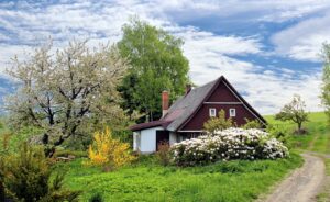 A beautiful countryside home