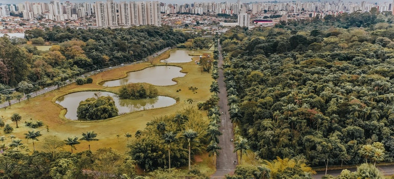 Aerial view of Central Park 