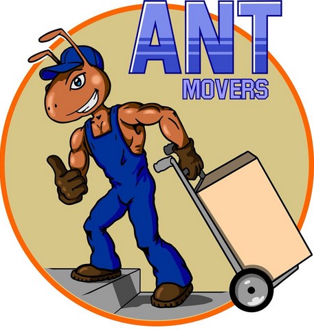 ANT MOVERS