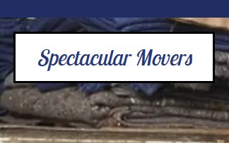 Spectacular Movers company logo