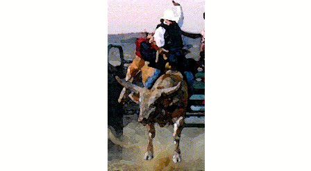 The Cowboy Movers company logo