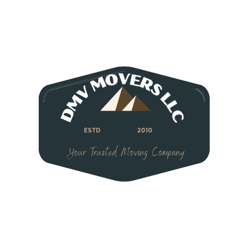 DMV MOVERS LLC