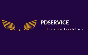 PDSERVICE company logo