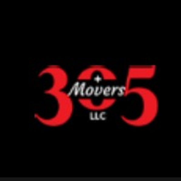 305 + Movers company logo