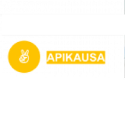 APIKA USA MOVING company logo