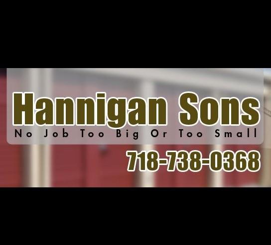 Hannigan Sons company logo