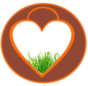MoveNSc​​​ap​​e company logo
