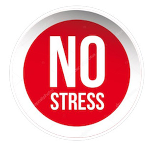 NO STRESS MOVERS company logo