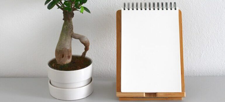 A notepad and a plant.