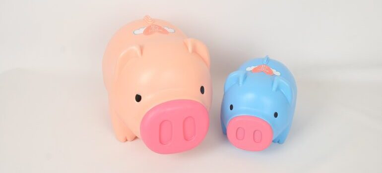 A pink and blue piggy banks.