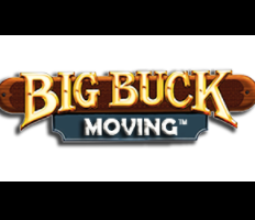 Big Buck Moving company logo