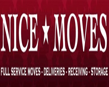 Nice Moves company logo