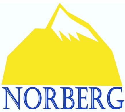 Norberg Services company logo