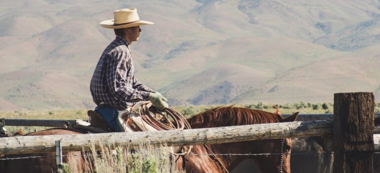 A cowboy on a horse.