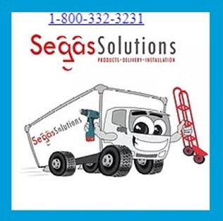 Segas Solutions company logo