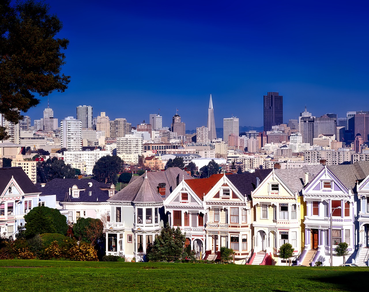 residential area in San Francisco
