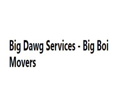 Big Boi Movers company logo