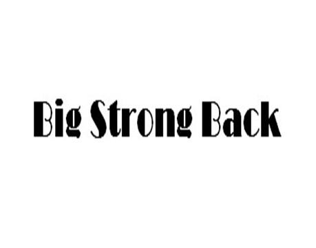 Big Strong Back company logo