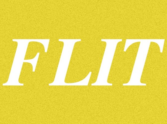 FLIT Moving Company company logo