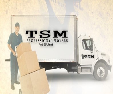 Time Services Movers company logo
