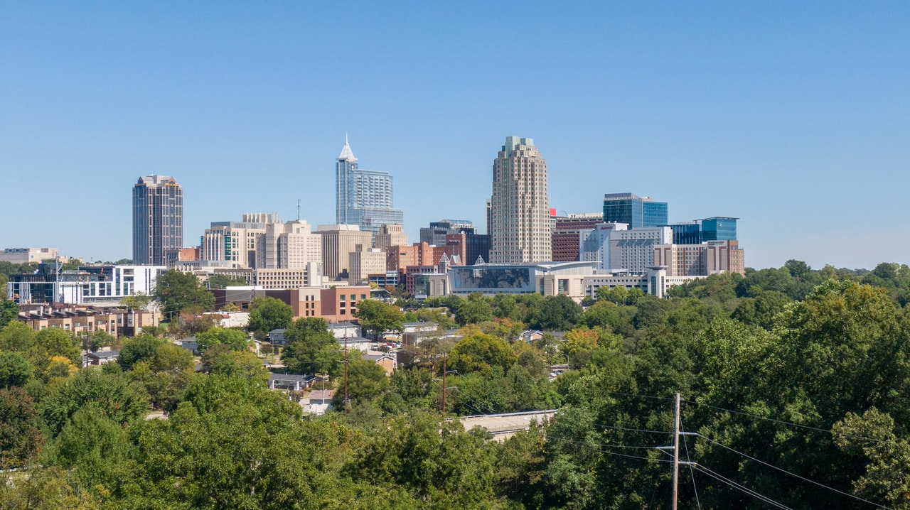 A landscape of Raleigh.