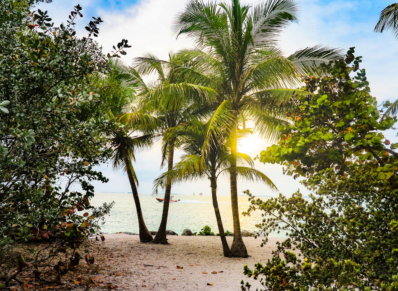 background-image